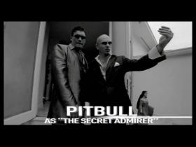 Pitbull Secret Admirer (feat Lloyd)